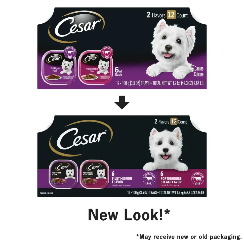 Cesar Classic Loaf in Sauce Adult Wet Dog Food Variety Pack Filet Mignon & Porterhouse Steak 12 Count 42.3-oz