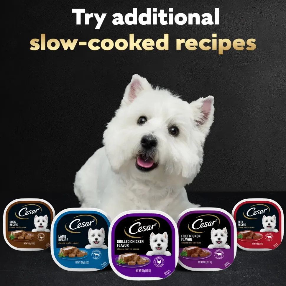 Cesar Classic Loaf in Sauce Adult Wet Dog Food Variety Pack Filet Mignon & Porterhouse Steak 12 Count 42.3-oz