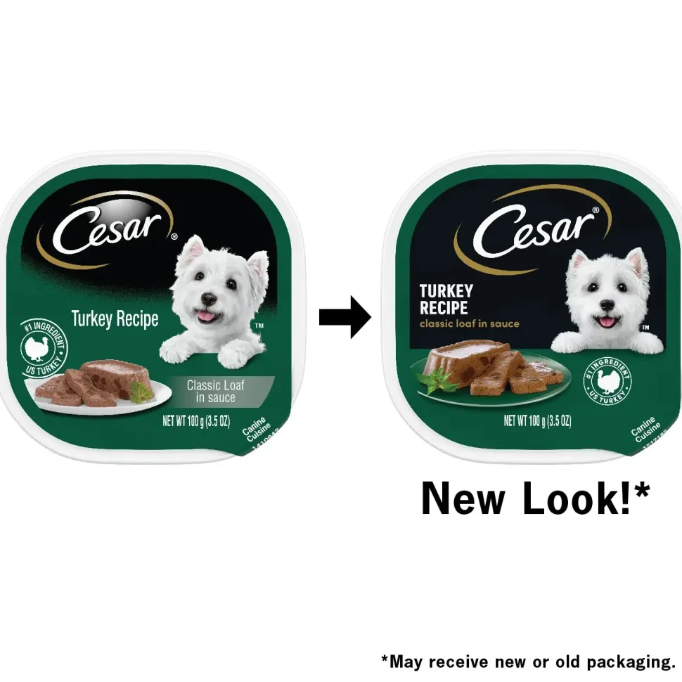 Cesar Classic Loaf in Sauce Adult Wet Dog Food Turkey 3.5-oz
