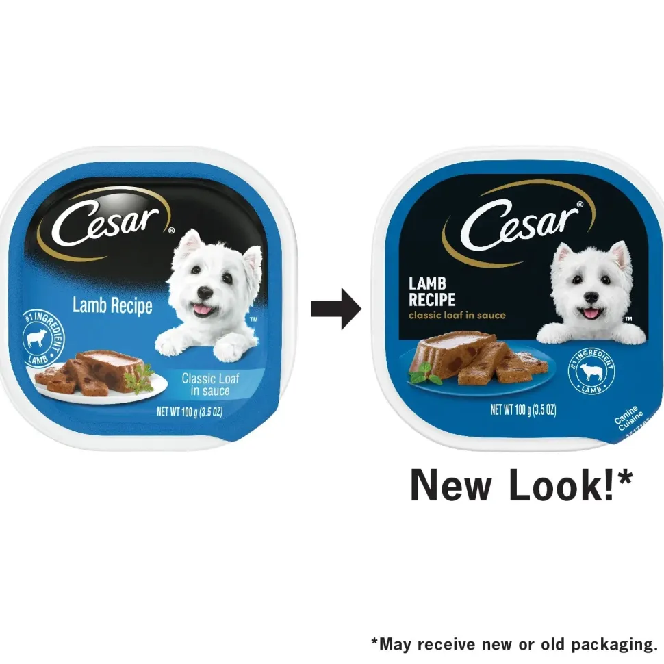 Cesar Classic Loaf in Sauce Adult Wet Dog Food Lamb 3.5-oz