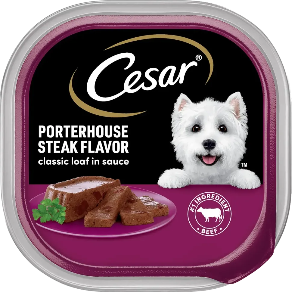 Cesar Classic Loaf in Sauce Adult Wet Dog Food Porterhouse Steak 3.5-oz