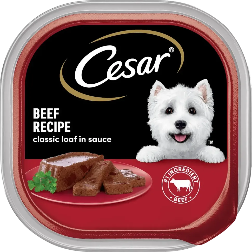 Cesar Classic Loaf in Sauce Adult Wet Dog Food Beef 3.5-oz