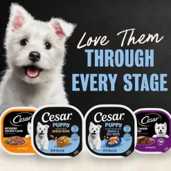 Cesar Classic Loaf in Sauce Puppy Wet Dog Food Chicken & Beef 3.5-oz