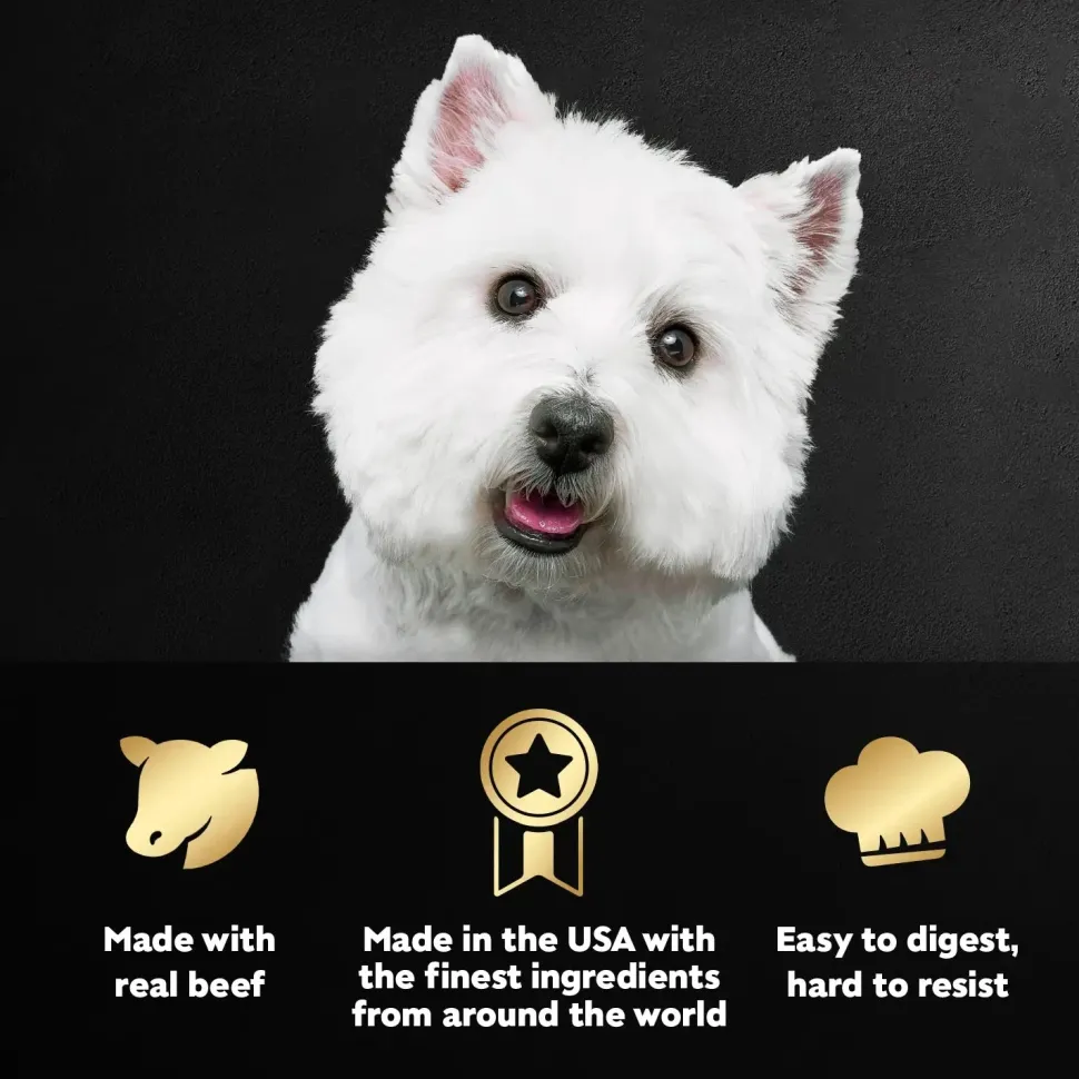Cesar Filets in Gravy Adult Wet Dog Food Prime Rib 3.5-oz
