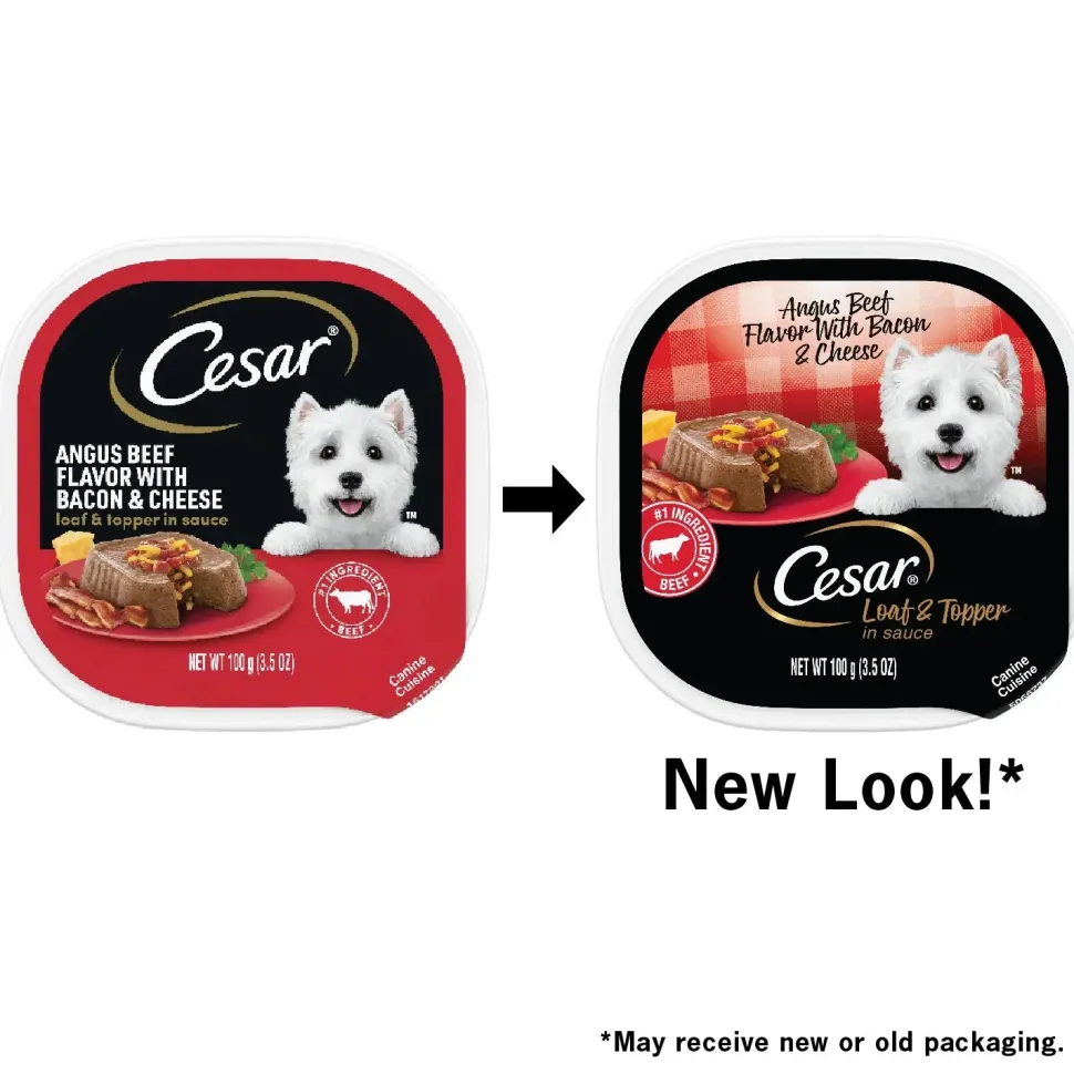 Cesar Loaf & Topper in Sauce Adult Wet Dog Food Angus Beef w/Bacon & Cheese 3.5-oz