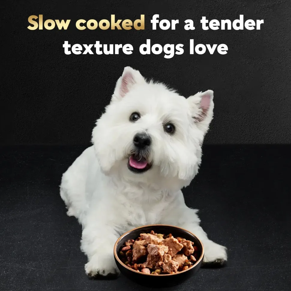 Cesar Loaf & Topper in Sauce Adult Wet Dog Food Angus Beef w/Bacon & Cheese 3.5-oz