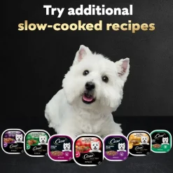 Cesar Loaf & Topper in Sauce Adult Wet Dog Food Variety Pack Rotisserie Chicken, Filet Mignon 12 Count 3.5-oz