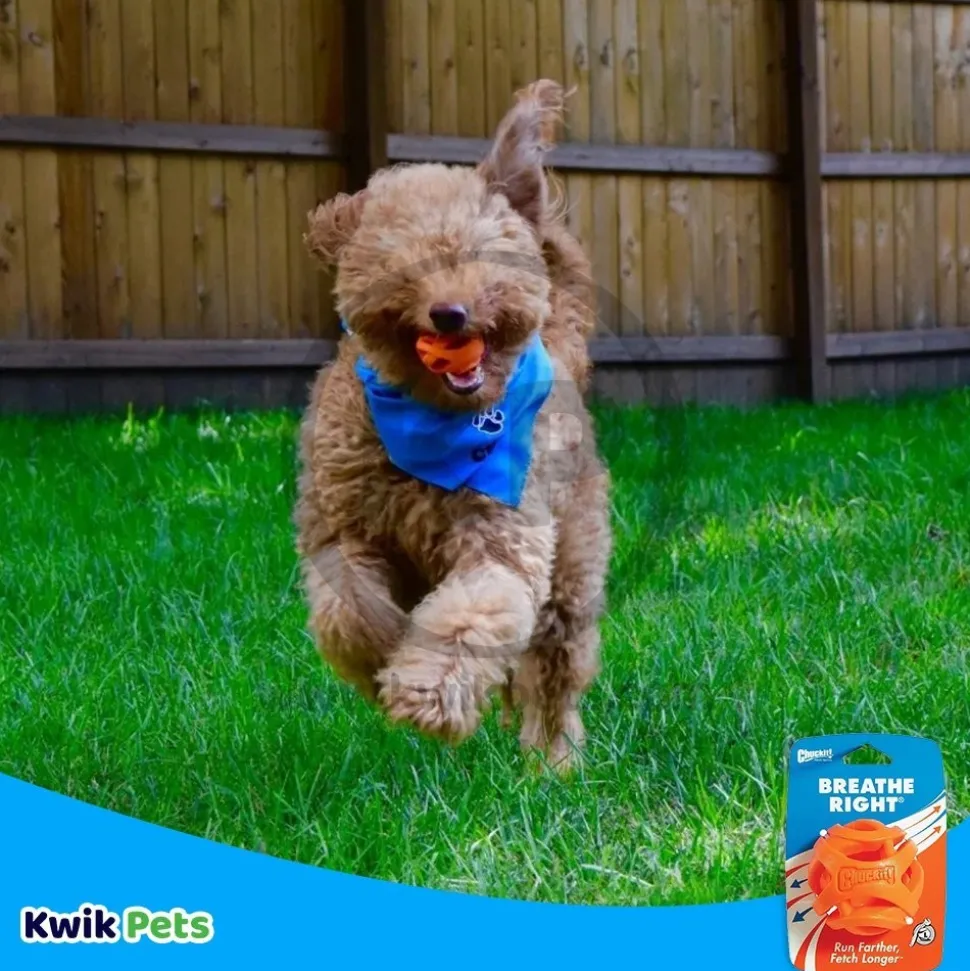 Chuckit! Breathe Right Fetch Ball Dog Toy Orange Large