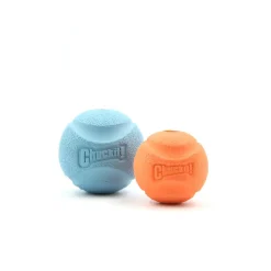 Chuckit! Fetch Ball Dog Toy Assorted Medium 2 Count