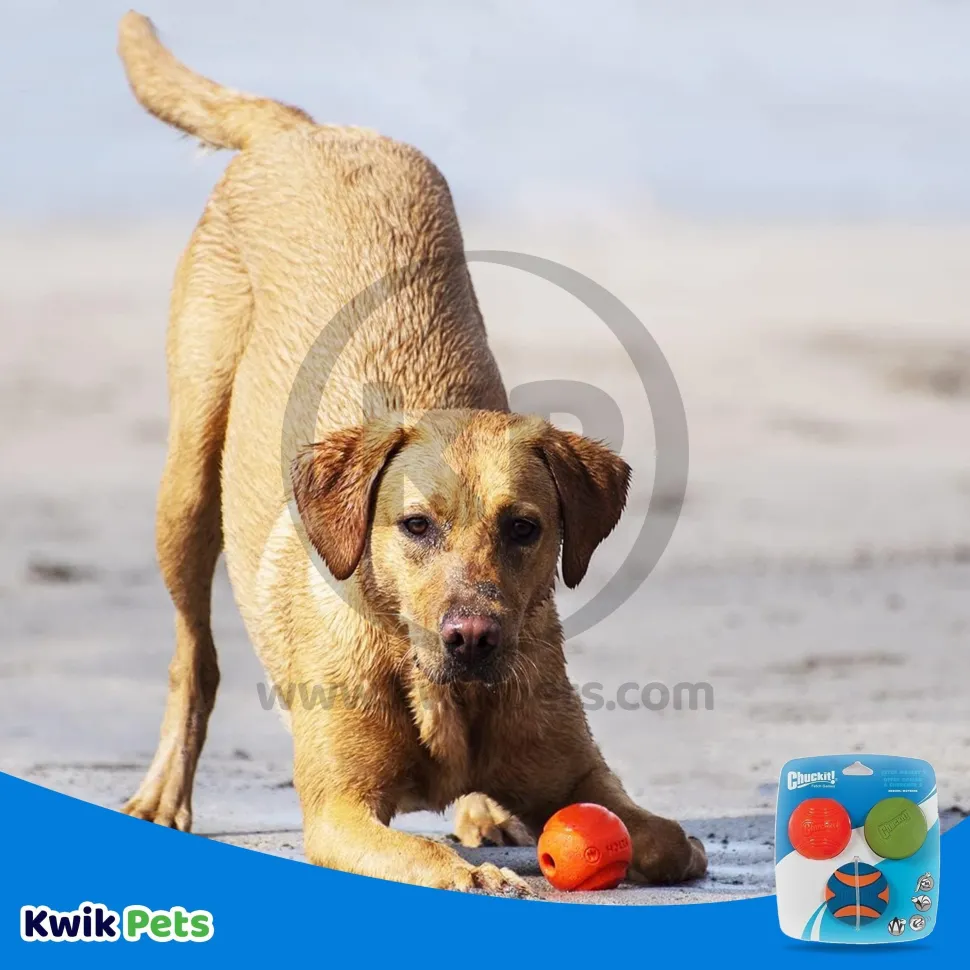 Chuckit! Fetch Ball Medley 2 Triple Pack Ball Dog Toy Medium 3 Count