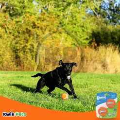 Chuckit! Tennis Ball Dog Toy Shrink Sleeve Blue/Orange Small 2 Count