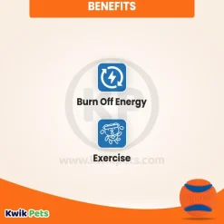 Chuckit! Ultra Ball Dog Toy Blue/Orange Large 2 Pack of 1 Count