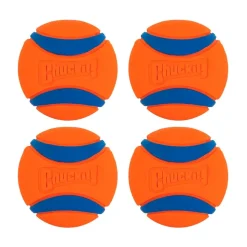 Chuckit! Ultra Ball Dog Toy Blue/Orange Medium 2 Pack of 2 Count