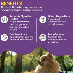 Cloud Star Dynamo Dog Tummy Functional Treats Pumpkin & Ginger 14-oz