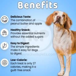 Cloud Star Wag More Bark Less Grain Free Biscuits Crunchy Dog Treats with Natural Peanut Butter & Apple 14-oz