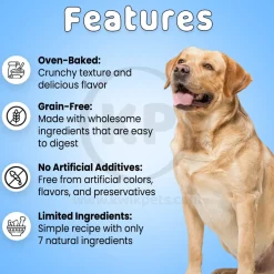 Cloud Star Wag More Bark Less Grain Free Biscuits Crunchy Dog Treats with Pumpkin 14-oz