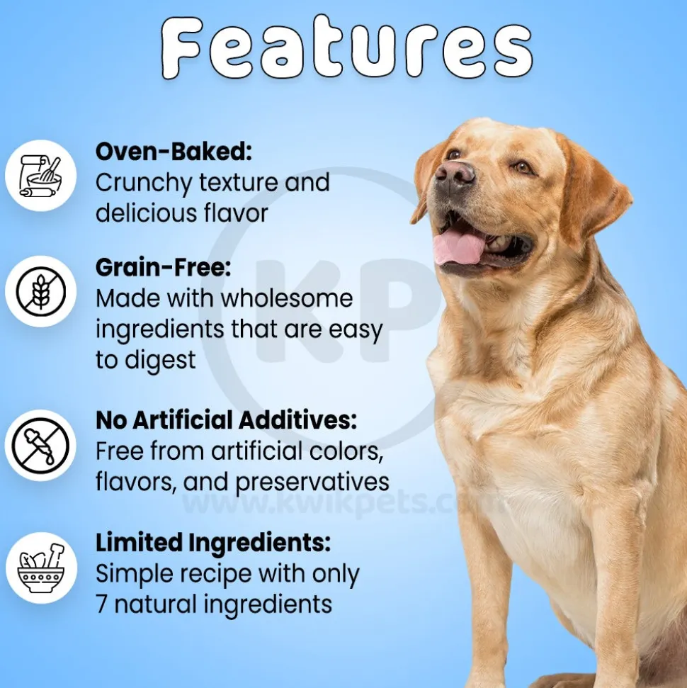 Cloud Star Wag More Bark Less Grain Free Biscuits Crunchy Dog Treats with Pumpkin 14-oz