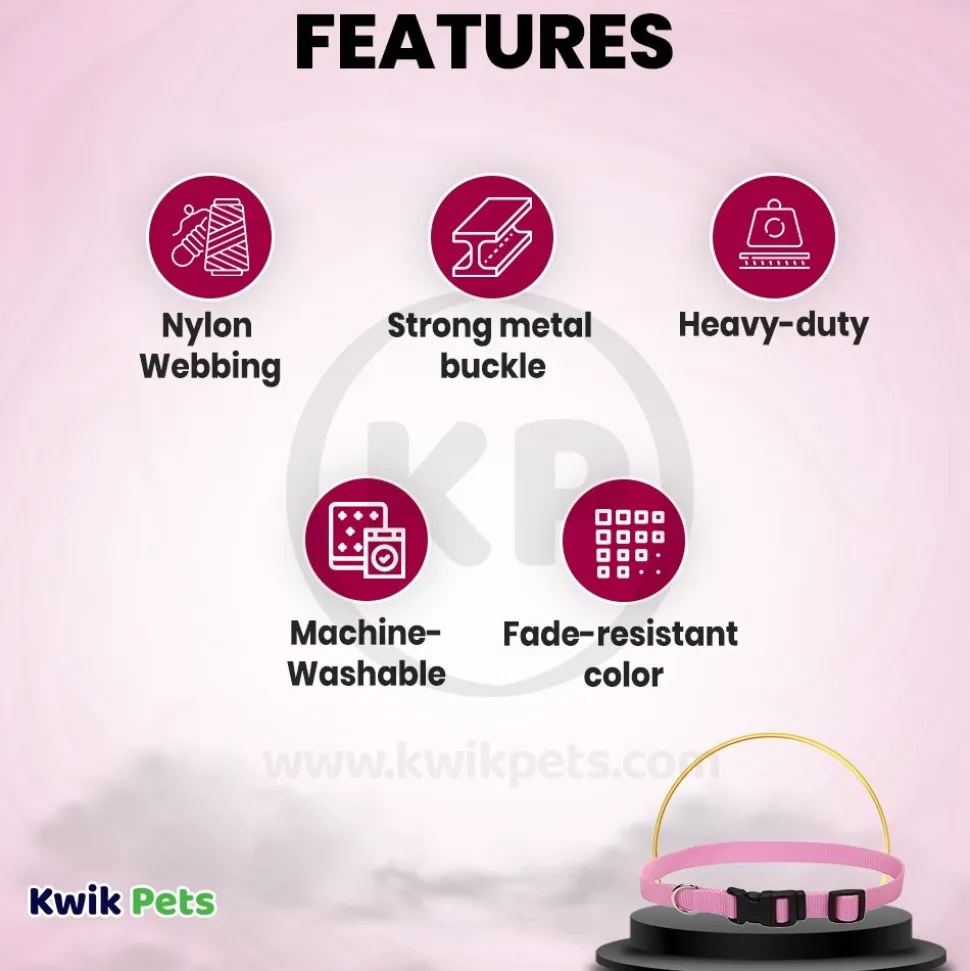 Coastal Adjustable Nylon Dog Collar with Plastic Buckle Bright Pink 5/8 in X 10-14 in