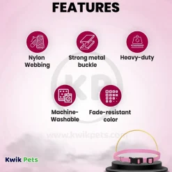 Coastal Adjustable Nylon Dog Collar with Plastic Buckle Bright Pink 3/4 in X 14-20 in