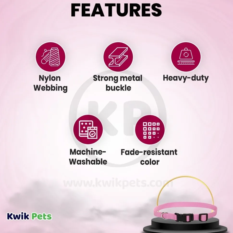 Coastal Adjustable Nylon Dog Collar with Plastic Buckle Bright Pink 3/8 in X 8-12 in