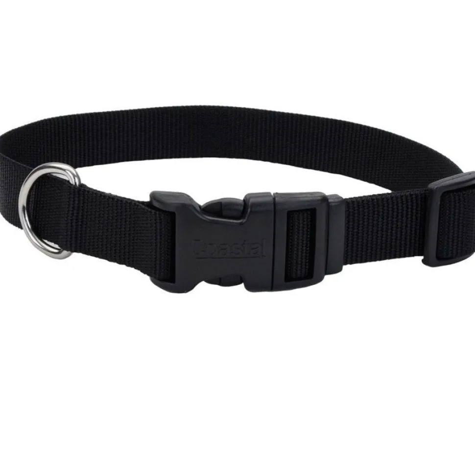 Coastal Adjustable Nylon Dog Collar with Plastic Buckle Black 3/4 in X 14-20 in
