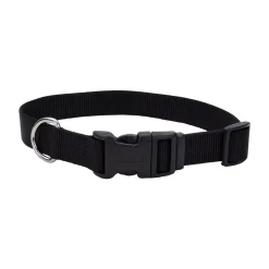 Coastal Adjustable Nylon Dog Collar with Plastic Buckle Black 3/8 in X 8-12 in