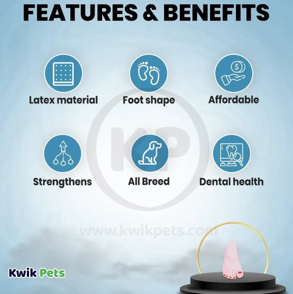 Coastal Rascals Vinyl Funny Foot Dog Toy 7-in