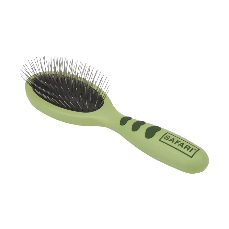 Coastal Safari Wire Pin Brush for Dogs Green Small