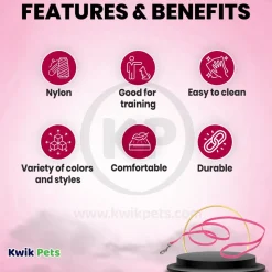 Coastal Single-Ply Nylon Dog Leash Pink Bright 3/8 in X 6 ft
