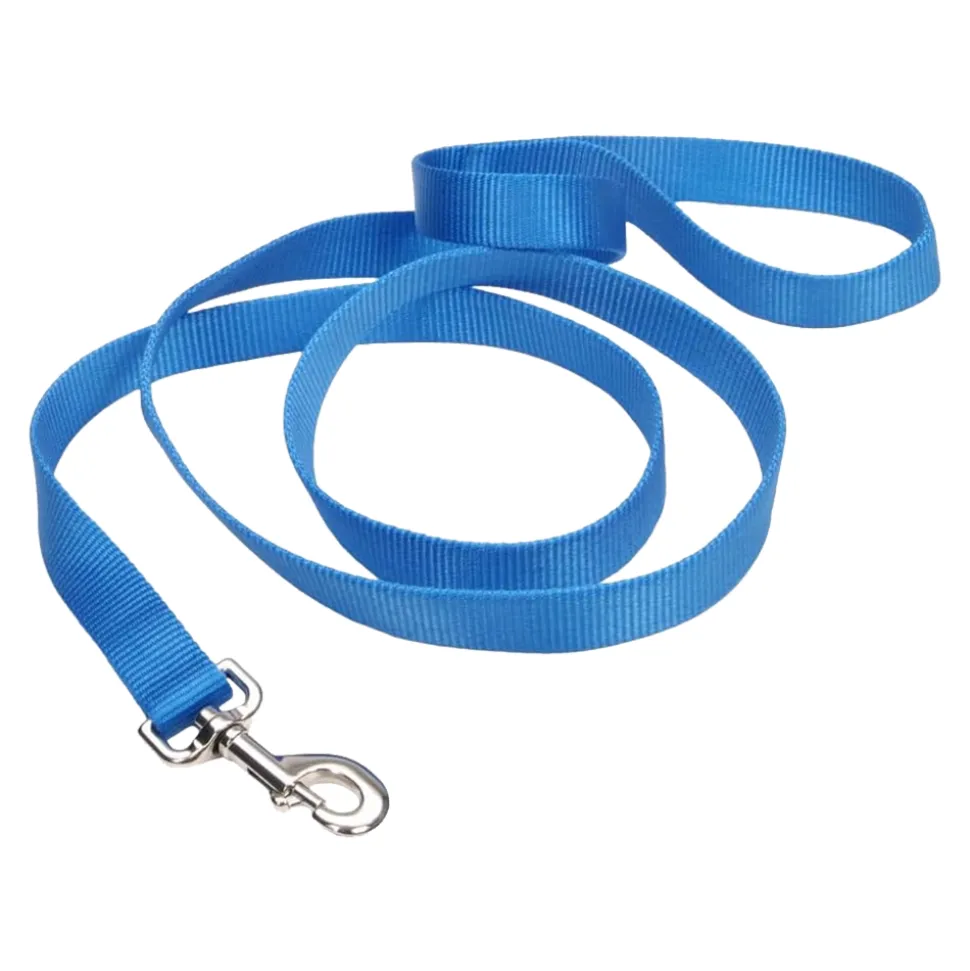 Coastal Single-Ply Nylon Dog Leash Blue Lagoon 5/8 in X 6 ft