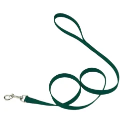 Coastal Single-Ply Nylon Dog Leash Hunter Green 3/8 in X 6 ft