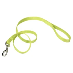 Coastal Single-Ply Nylon Dog Leash Lime 1 in X 6 ft