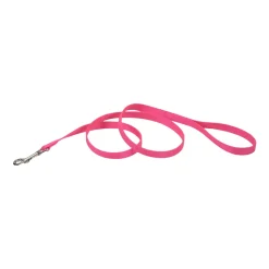 Coastal Single-Ply Nylon Dog Leash Neon Pink 1 in X 6 ft