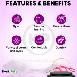 Coastal Single-Ply Nylon Dog Leash Neon Pink 1 in X 6 ft