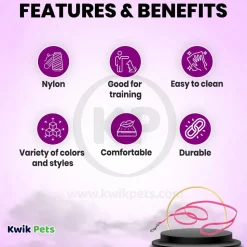 Coastal Single-Ply Nylon Dog Leash Pink Flamingo 5/8 in X 6 ft