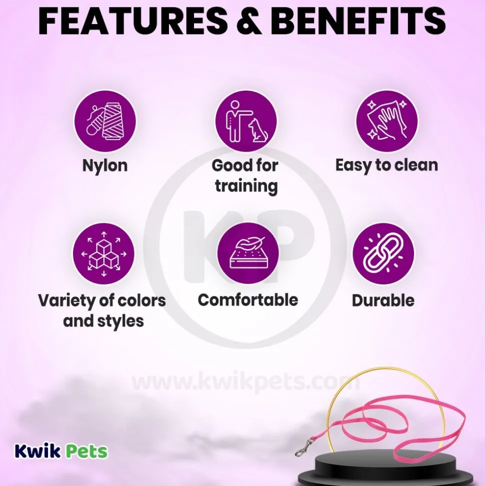 Coastal Single-Ply Nylon Dog Leash Pink Flamingo 5/8 in X 6 ft