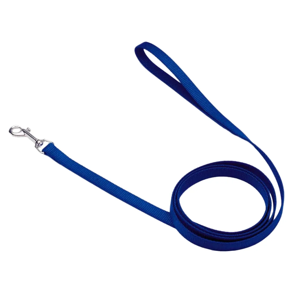 Coastal Single-Ply Nylon Dog Leash Blue 5/8 in X 6 ft