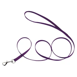 Coastal Single-Ply Nylon Dog Leash Purple 5/8 in X 6 ft