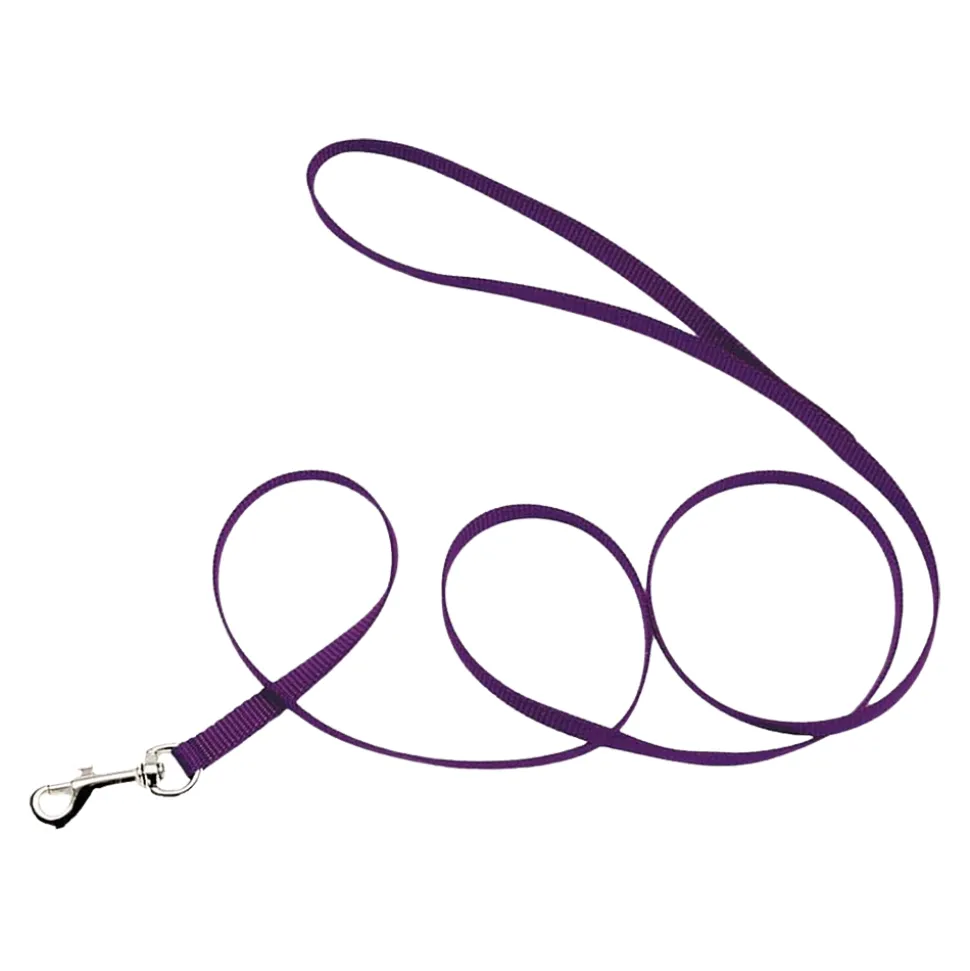 Coastal Single-Ply Nylon Dog Leash Purple 5/8 in X 6 ft