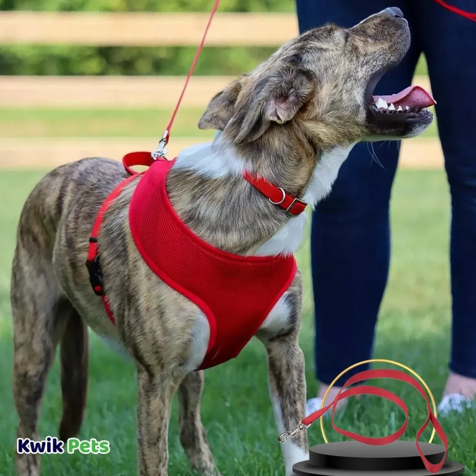 Coastal Single-Ply Nylon Dog Leash Red 5/8 in X 6 ft
