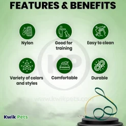 Coastal Single-Ply Nylon Dog Leash Hunter Green 5/8 in X 6 ft