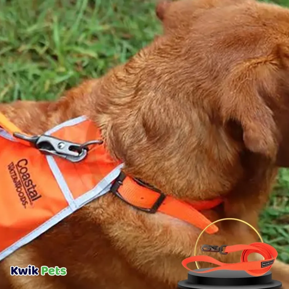 Coastal Water & Woods Dog Leash Safety Orange 6 ft