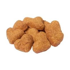 Darford Grain Free Biscuits Salmon Recipe Dog Treats Regular 12-oz