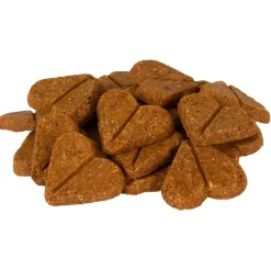 Darford Zero/G Grain-Free Roasted Salmon Dog Treats 12-oz