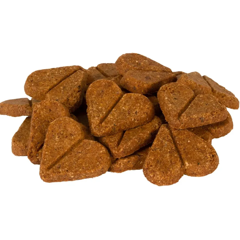 Darford Zero/G Grain-Free Roasted Salmon Dog Treats 12-oz