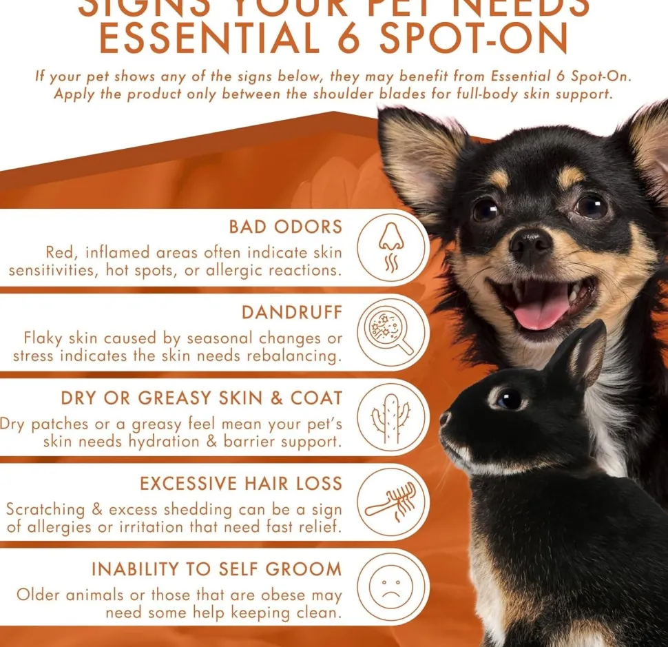Dermoscent Essential 6 Spot-on Dog Skin Care for Dandruff & Allergy Relief Dogs & Small Mammals Up to 22-lb 4 Pipettes