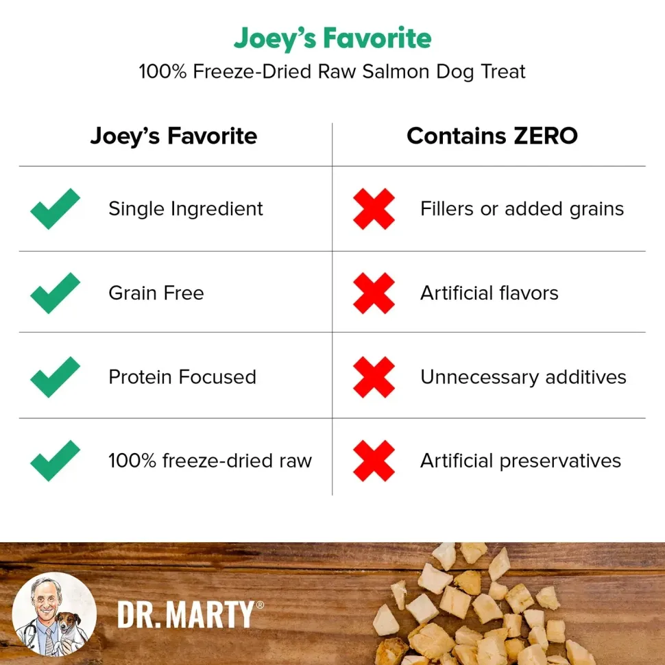 Dr. Marty Joey's Favorite Freeze-Dried Dog Treats Salmon 4-oz