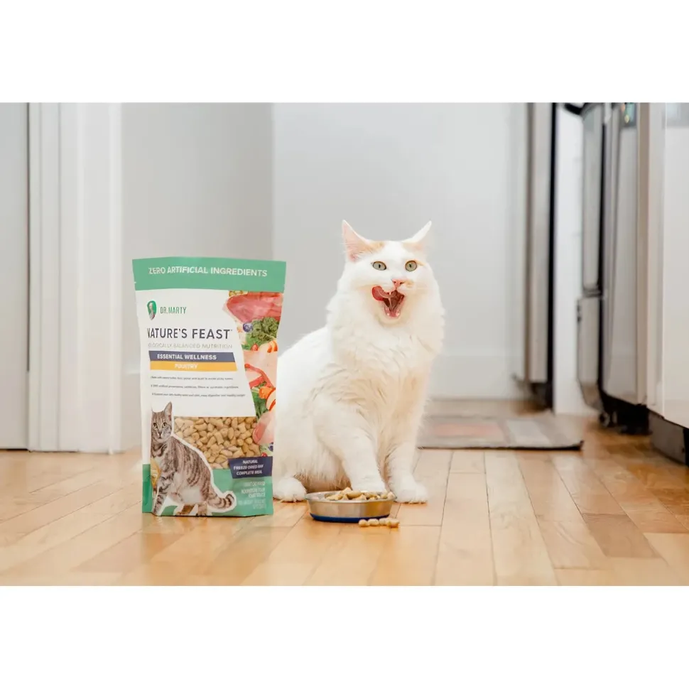 Dr. Marty Nature's Feast Essential Wellness Premium Freeze-Dried Raw Adult Cat Food Poultry 12-oz