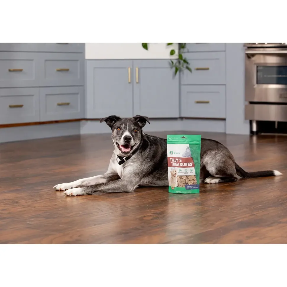 Dr. Marty Tilly's Treasures Freeze-Dried Dog Treats Beef Liver 4-oz