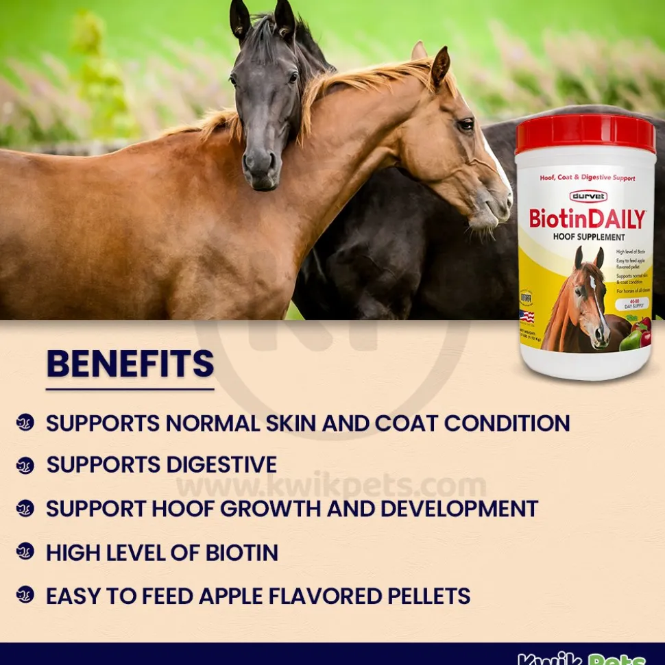 Durvet BiotinDAILY Hoof Supplement 2.5-lb